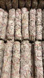 Charrine Naziel-Lach, Wetsuweten Native Arts, carving, graphic arts and design, painting, weaving, West Coast Art, workshops, Indigenous Artist, First Nations, Indigenous Arts Collective of Canada, Pass The Feather