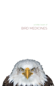 a little book of bird medicines, pass the feather, fundraising, smudge feathers, smudge