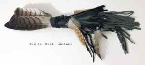 Red-Tail-Hawk