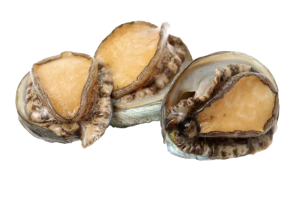 Save the Abalone, project, ceramic smudge bowls, Millside Ceramics, pass the feather