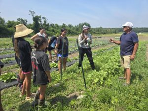 Roots to Resilience, Akwesasne, Haudenosaunee Universe