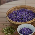 Screenshot 2025-10-14 135559