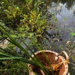 Screenshot 2025-10-14 135750