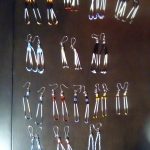 Claire Sackanay - Claire’s Visions - Jewelry