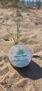 Catherine Nuttall Earthmedicine Akimashkiki - Ancient Earth Face Mask