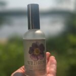Catherine Nuttall Earthmedicine Akimashkiki - Wild Rose