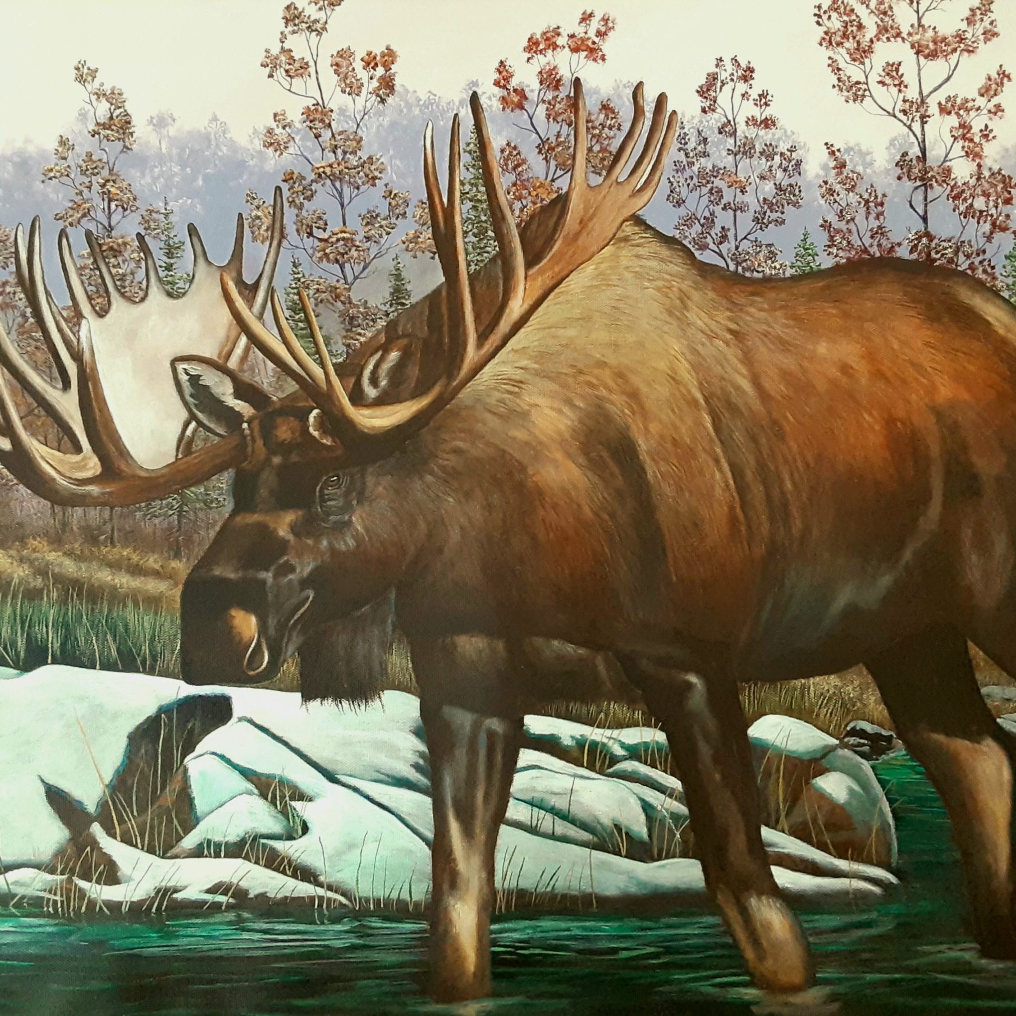 Earl McKay Realistic Moose Painting