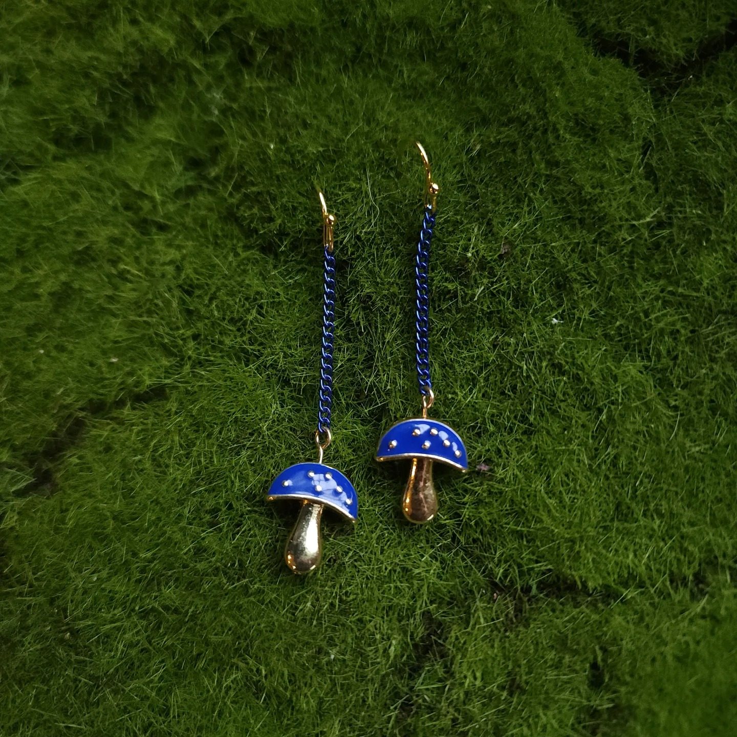 490133691_1253825333418195_2429351677224350514_n