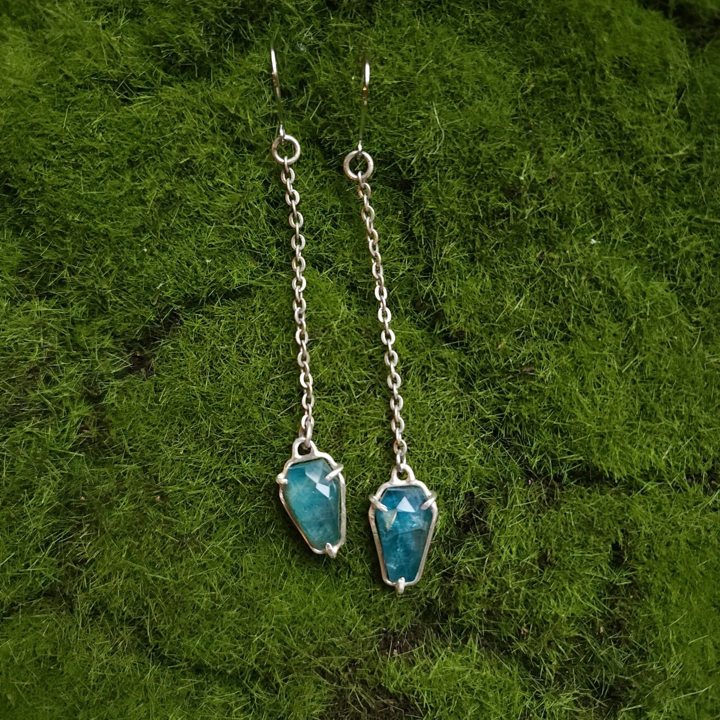 490397691_1253825586751503_5854610039365325515_n