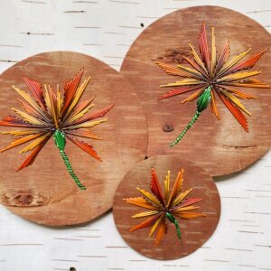 Christine Toulouse-Porcupine-Quilling-Flower-Circle