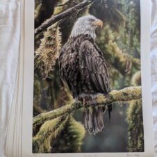 Breanna Podlasly Art -Eagle Chalk Art