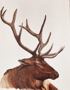 Earl McKay Realistic Caribou Painting
