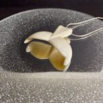 35B85BAC-B835-4C6F-AA59-33AEEA29CE0E