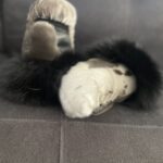 4DF54C16-8893-4F6E-8C47-11442F28E00B