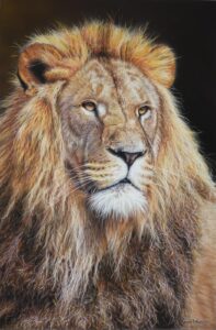 Breanna Podlasly Art -Lion Chalk Art